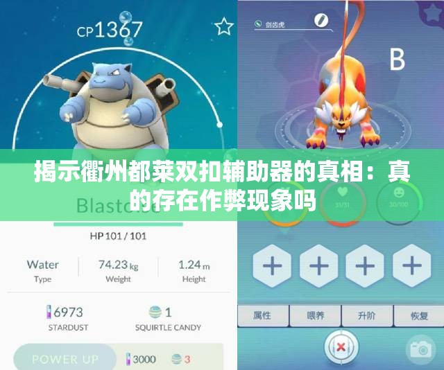 揭示衢州都莱双扣辅助器的真相：真的存在作弊现象吗