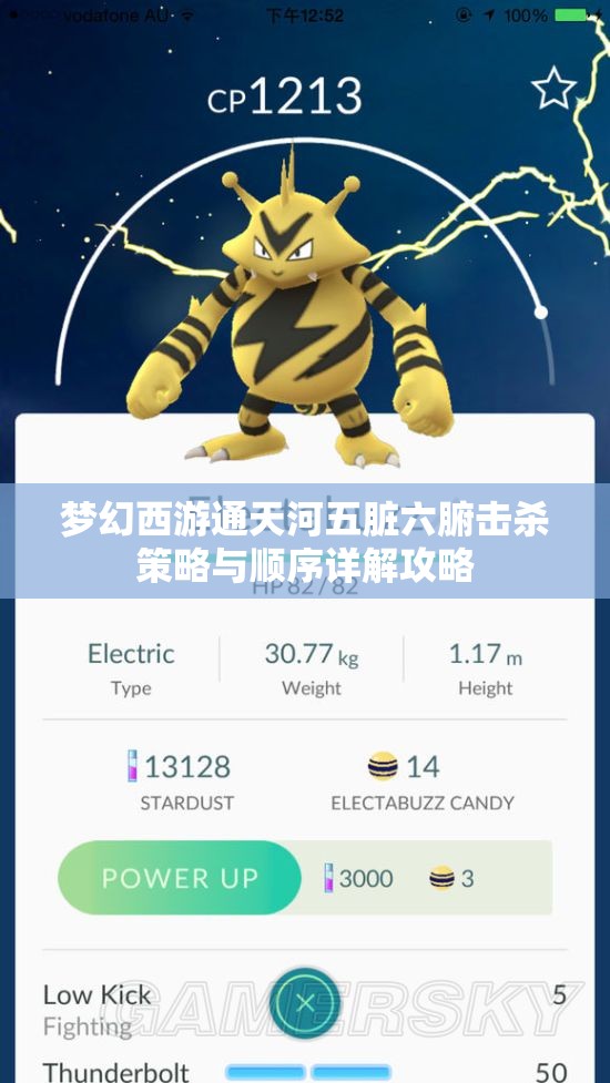 梦幻西游通天河五脏六腑击杀策略与顺序详解攻略