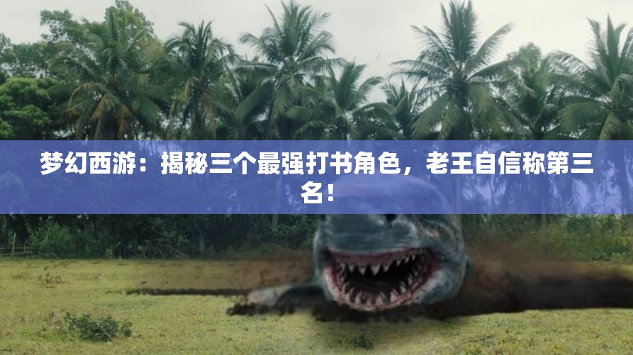 梦幻西游：揭秘三个最强打书角色，老王自信称第三名！