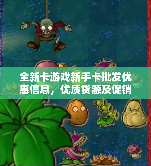 全新卡游戏新手卡批发优惠信息，优质货源及促销价尽在这里
