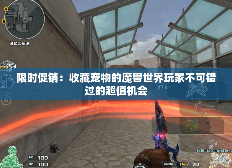限时促销：收藏宠物的魔兽世界玩家不可错过的超值机会