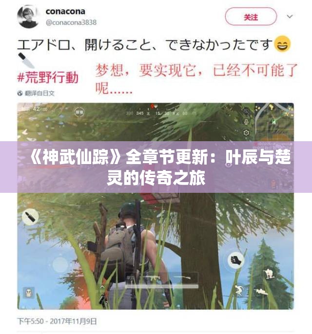 《神武仙踪》全章节更新：叶辰与楚灵的传奇之旅