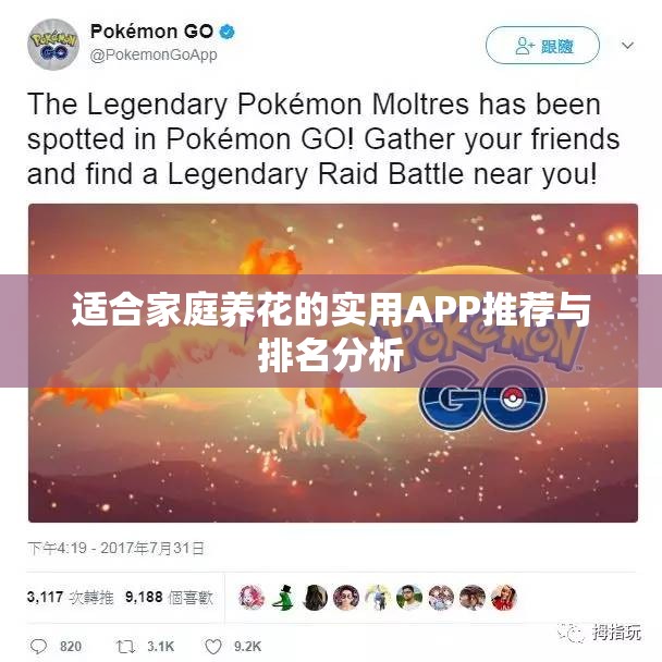 适合家庭养花的实用APP推荐与排名分析