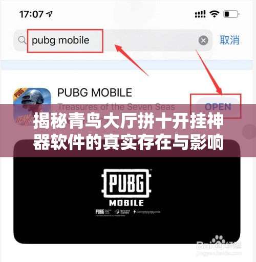 揭秘青鸟大厅拼十开挂神器软件的真实存在与影响