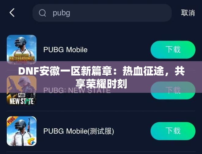 DNF安徽一区新篇章：热血征途，共享荣耀时刻